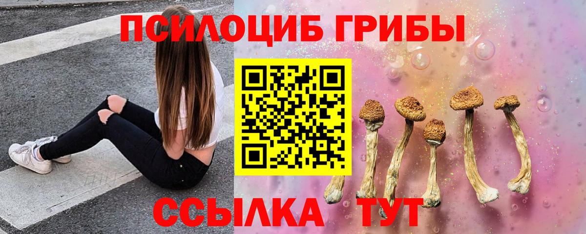 Псилоцибиновые грибы Magic Shrooms Бердск