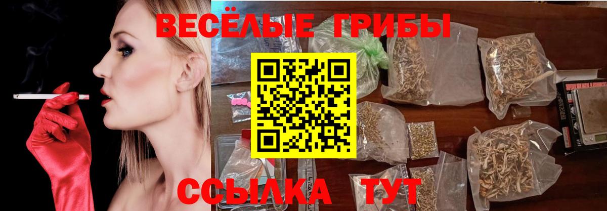 Марихуана  ГАШ  Бердск  Alpha-PVP СОЛЬ кристаллы  МАРИХУАНА  Меф МЯУ МЯУ   Вход с VPN 