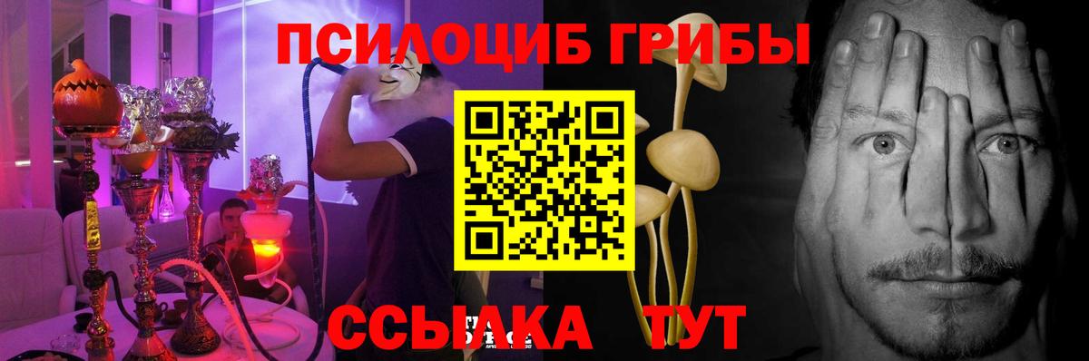 Псилоцибиновые грибы Psilocybe  Галлюциногенные грибы Psilocybe  где найти   Вход с VPN  Бердск 