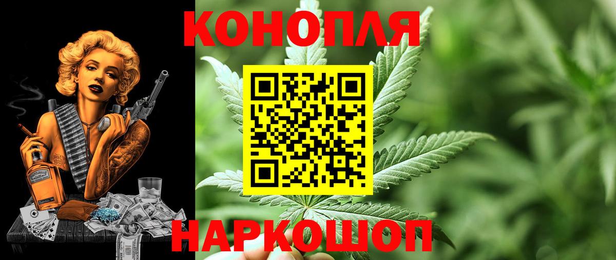 Канабис план Бердск